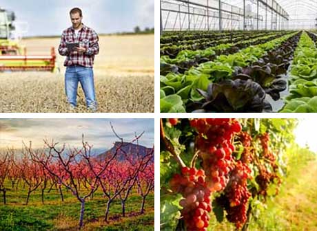 HOBO agriculture applications