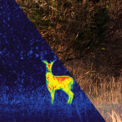 Image of Seek Outdoors