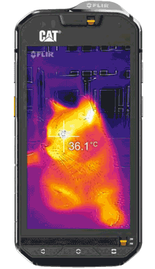 Veterinary & Farming