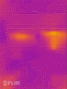 CAT s60, loss of heat through convection