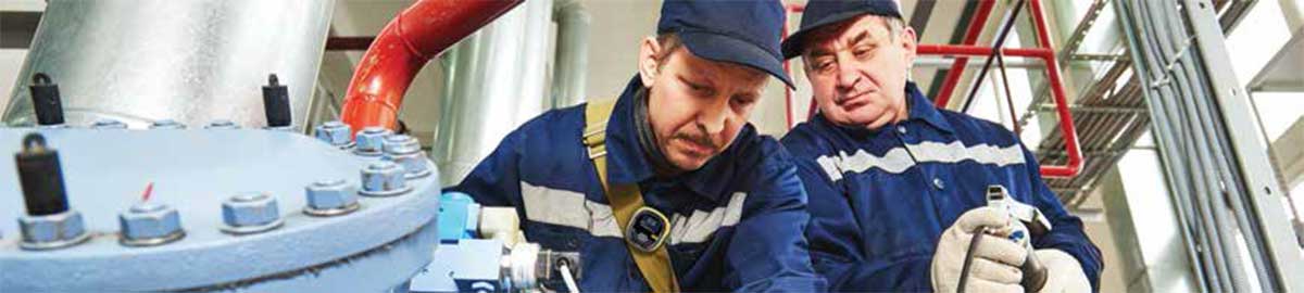 Two inspectors, and one is wearing the Solo detector on back strap