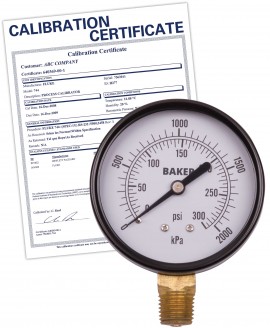 Baker LVBNA Series Pressure Gauge, 0 to 300 psi/0 to 2100 kPa, 2.5&amp;quot; dial, &amp;frac14;&amp;quot; NPT bottom, SS housing,-