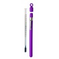 Bel-Art 605700700 Enviro-Safe Thermometer with closed plastic case, 0 to 220&amp;#176;F-