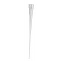 Pipette Tips