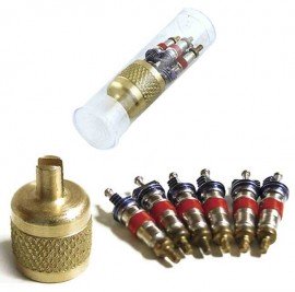 CPS AVS1V Valve Core and SAE Brass Cap Kit in Plastic Vial-