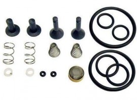 CPS TR21X1 Oil Free Compressor Valve Rebuild Kit-
