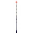 Digi-Sense 08077-65 Liquid-in-Glass Thermometer with Safety Coating, -10 to 110&amp;deg;C, 2&amp;quot; Immersion-