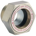 Dwyer SFI-500B-2 Sight Window, 2&quot; NPT, Brass-