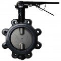 Dwyer WE20-EHD00-LP Manual Lug Style Butterfly Valve (5&quot;) with PTFE Liner-