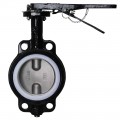 Dwyer WE20-FHD00-WP Manual Wafer Style Butterfly Valve (6&quot;) with PTFE Liner-