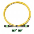 Fluke Networks TRC-SM-VERIFY-MPO12P Reference-Grade CertiFiber Max Single-Mode Verification Cord for pinned MPO 12-
