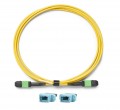 Fluke Networks TRC-SM-VERIFY-MPO16U Reference-Grade CertiFiber Max Single-Mode Verification Cord for unpinned MPO 16-