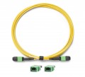 Fluke Networks TRC-SM-VERIFY-MPO24P Reference-Grade CertiFiber Max Single-Mode Verification Cord for pinned MPO 24-
