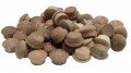 General Tools 311012 1/2" Oak Button Plugs, 50-packs-