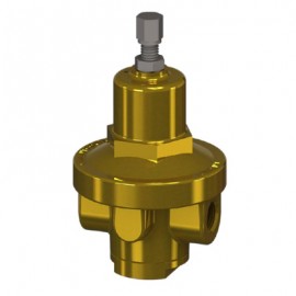 Generant CR-RK-500 CR Series Repair Kit with inlet strainer-