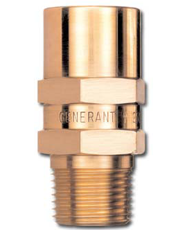 Generant VRVI Series Inline Vent Relief Valve, 1/2", 316 SS, EP seal, 70 psig-