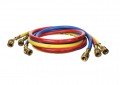 Hilmor 1839158 H36S Refrigeration Hoses, 1/4&quot;, 3-pack-