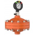 Icon Process Controls PPPF-125-S PulsePro® Pulsation Dampener, 1-1/4&quot;, 316 SS-