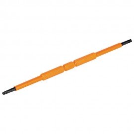 Klein Tools 13158INSP Screwdriver Blades, Insulated Double-Ended TORX&amp;reg;, 2-Pack-