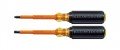 Klein Tools 33532-INS 2-Piece Insulated Screwdriver Set, 0.25&quot; and #2 Phillips-