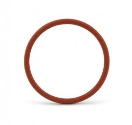 MadgeTech RFOT-O-Ring-