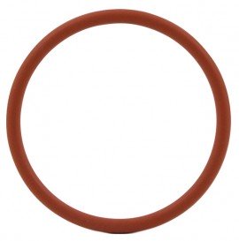MadgeTech RFOT O-Ring Kit Replacement O-Ring Kit for the RFOT-