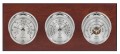 Maximum Montauk Three-Instrument Weather Station with mahogany panel, chrome case, silver dial-