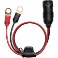 NOCO GC018 12 Volt Plug with eyelet terminals, M10 3/8", 24"-