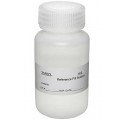 OAKTON WD-35803-78 Sodium Chloride Electrode Reference Fill Solution, 0.1M, 125 mL-
