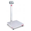 Ohaus D52P125RQV3 Defender 5000 Multifunctional Bench Scale, 250 lbs, 24 x 24&amp;quot; platform-