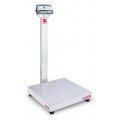 Ohaus D52P125RQV3 Defender 5000 Multifunctional Bench Scale, 250 lbs, 24 x 24&amp;quot; platform-
