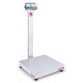 OHAUS D52P500RTV3 Multifunctional Standard Bench Scale with plastic indicator, 1000 lbs. capacity-