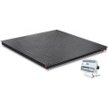 OHAUS i-DF52XW2500B1R DEFENDER&amp;trade;5000 Floor Scale with SS display, 2,500 lbs (1,250 kg), 3&#039; X 3&#039;-