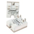 Omega SSRLDUAL Series Dual Solid State Relay, 25 A, DC control-