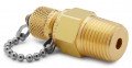 Ralston QTFT-4MB1 Male NPT x Male Quick-test Adapter with check-valve and cap and chain, 0.5&quot;, brass-
