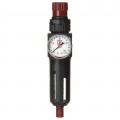 Reading Technologies FR250-G Filter/Regulator with Gauge, 1/4" NPT, 30 SCFM-