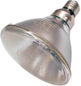 Spectroline NDT 100S/M-PQL Upgraded Premium Quality Lighting Spot Bulb, Medium Base, 100 Watt-