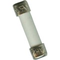 UEi AF145 Fuses, 0.5 A, 240 V, 3-Pack-