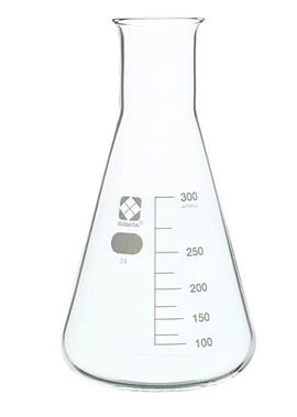 VEE GEE 10530-300A SIBATA Glass Erlenmeyer Flask, 300 mL, 10-pack-