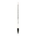 VEE GEE 6603-1 Precision Specific Gravity Hydrometer, 1 to 1.22, 0.002-
