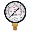 Winters PEM216 Economy Gauge, 0 to 200 psi/kPa, 2.5&amp;quot; dial, &amp;frac14;&amp;quot; NPT bottom-