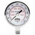 Winters PFP600 Premium Stainless-Steel Liquid Filled Pressure Gauge, 30&amp;quot; Hg Vac/kPa, 0.25&amp;quot; back (LB)-